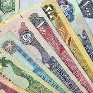 Buy Fake United Arab Emirates Dirham
